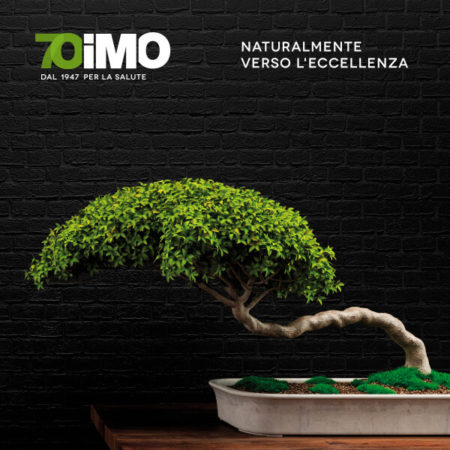imo 70th anniversary logo and advertising